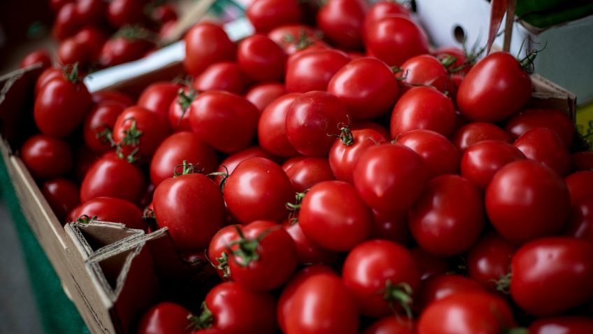 Tomates cerise