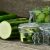 courgettes